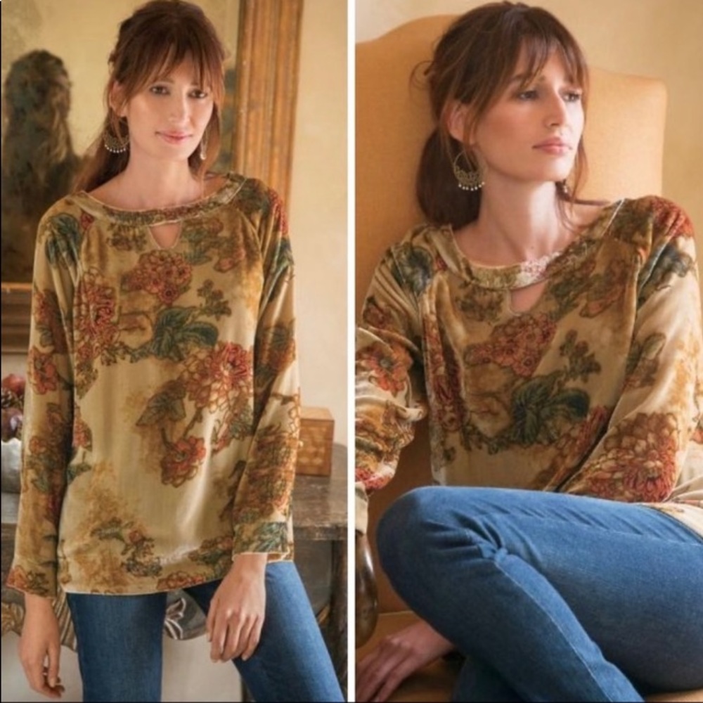 Soft Surroundings Beige Floral Velvet Tunic Top